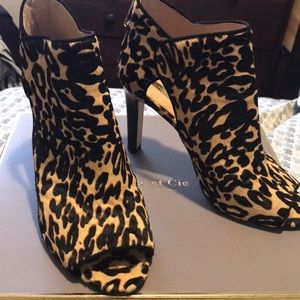 Louise et Cie Leopard